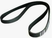 V-ribbed belt